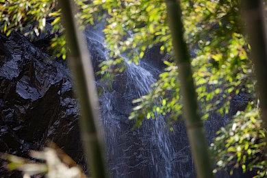 《漫威蜘蛛侠2》毒液配音演员分享最新游戏情报