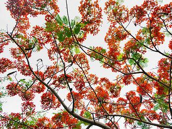 《命运2》最佳游戏体验增强：到达光等上限不再掉落蓝装