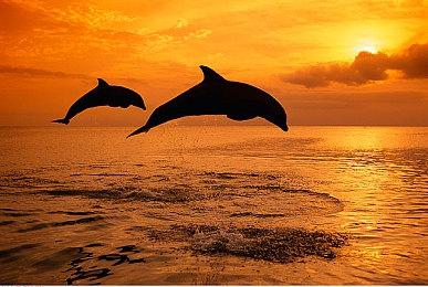 《四海兄弟4》或不会设定在现实大都市场景中