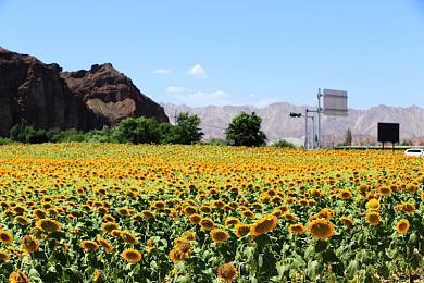 摩拳擦掌 零售商爆料泄漏任天堂Switch 2发售日期